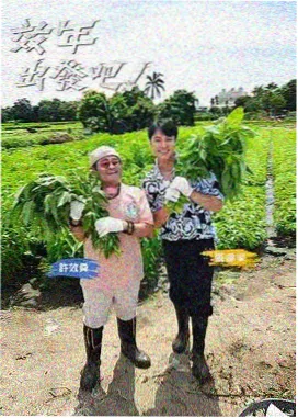 美食地图